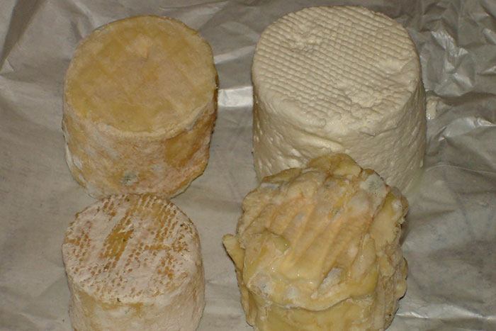 fromages