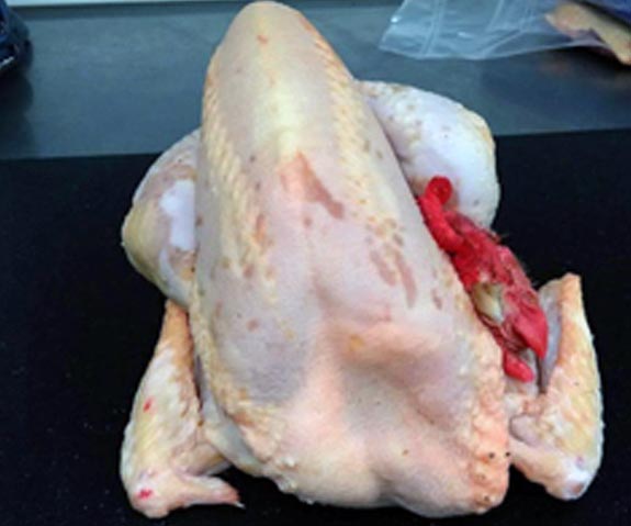 Poulet fermier Terroir d'Azergues