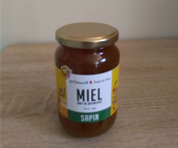 Miel sapin Terroir d'Azergues